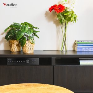 Wzmacniacz HiFi 2x 200W 8 Ohm AD220B Audizio one size 11