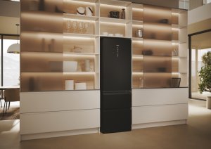 Lodówka Haier REFRIGERATOR HTW5618ENPT HAIER 23