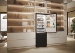 Lodówka Haier REFRIGERATOR HTW5618ENPT HAIER 24