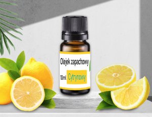 WS2 DUŻY STOJĄCY WENTYLATOR Z PILOTEM 14