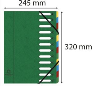 Exacompta 55123E, Conventional file folder, A4, Carton, Green, 425 g/m², 240 mm 2