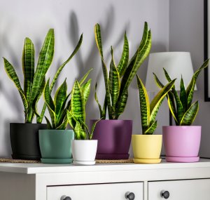 KADAX Doniczka Osłonka Donica 16cm Na Kwiaty Z Podstawką Różowa Do Salonu 8