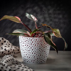 KADAX Doniczka Osłonka Okrągła Na Kwiaty Różowa 11cm 3