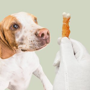 Mersjo Kostki wapienne z kurczakiem przysmak dla psa bez zbóż 500g 10