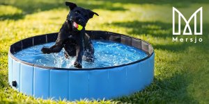 Basen ogrodowy dla psa, zwierząt i dzieci składany DEXTER 120x30cm 7
