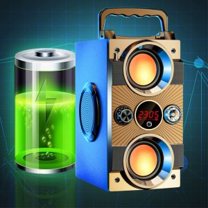 Głośnik Manta Głośnik przenośny bluetooth z mikrofonem radio FM FORTINO 5