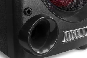 Kolumna Fenton Aktywna kolumna karaoke 2x 10" LED LIVE2104 one size 14