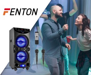 Kolumna Fenton Aktywna kolumna karaoke 2x 10" LED LIVE2104 one size 3