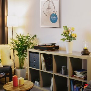 Gramofon RP162D Fenton HQ BT ciemne drewno one size 22