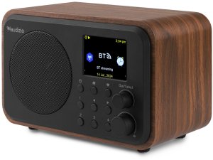 Radio Audizio Radio internetowe WIFI/DAB+/radio FM akumulator Vicenza brązowe one size 6