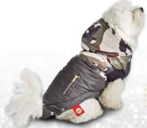 LAB PCHEŁKA-KURTKA ARMY ZIELONA "L" 2