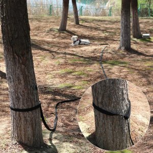 SMYCZ TAŚMOWA TRENINGOWA 10 m DOGGO-10 6