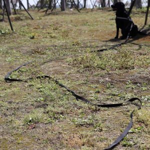 SMYCZ TAŚMOWA TRENINGOWA 10 m DOGGO-10 9