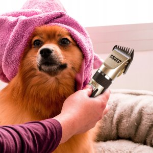 MOCNA Maszynka do strzyżenia PSÓW PSA zwierząt bezprzewodowa CICHA zestaw 10