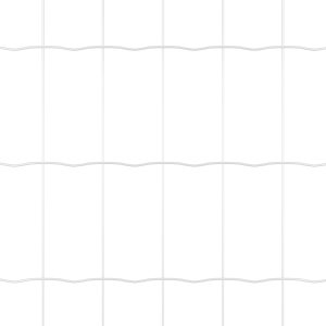 vidaXL Ogrodzenie Euro z 13 słupkami z podwójnym mocowaniem 1x25 m ze stali ocynkowanej 2