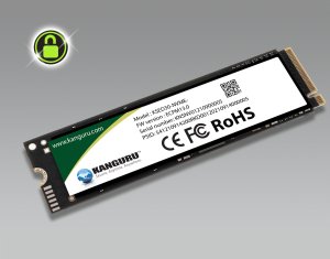 Dysk zewnętrzny SSD iStorage Kanguru Opal SED30 1TB (KSED30-NVME-1T) 2