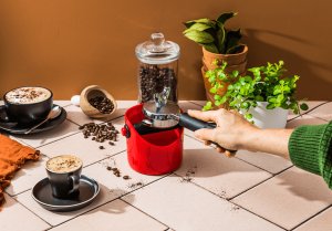 Dreamfarm - Grindenstein 3