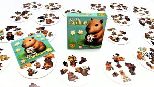 GRA ALE PARY KAPIBARY ALX PUD 13