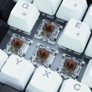 Sharkoon SKILLER SGK50 S3 (wei. DE-Layout. Gateron Brown) 2