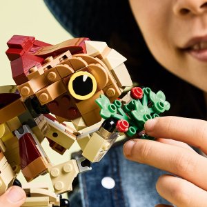 LEGO Jurassic World Mały dinozaur Dolores: aquilops (76970) 6