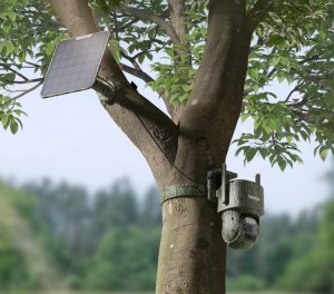 Reolink TrackMix Series G770 Camo LTE, battery-powered surveillance camera with 4G/LTE connection 5