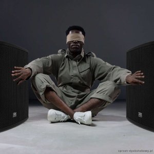 Kolumna pasywna 15" 1400W PD415P Power Dynamics one size 11