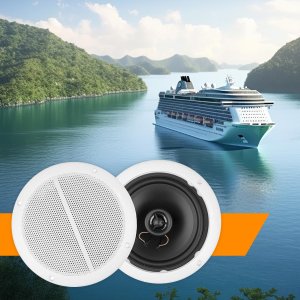 Zestaw głośników instalacyjnych 6,5" 100W PD MS65 one size 17