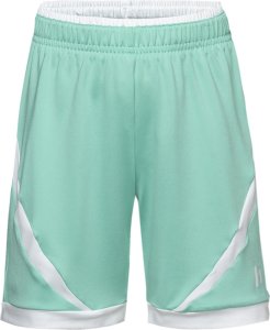 Dziecięce Spodenki Dentra Shorts Kids  rozmiar 122 1