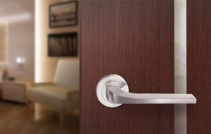 DOOR HANDLE FEBE MAT NICKEL 4