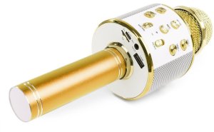 Mikrofon karaoke z głośnikami BT MP3 MAX efekt LED złoty one size 4