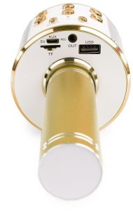 Mikrofon karaoke z głośnikami BT MP3 MAX efekt LED złoty one size 5