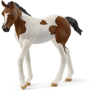 SLH źrebak rasy Paint Horse 14899 70451 1