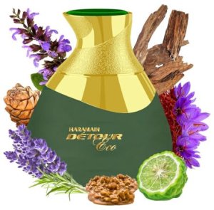 Al Haramain AL HARAMAIN Detour Eco* EDP spray 100ml 4