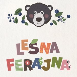 MOONWOOD Meble MALTEX - NAKŁADKA 2K MISIU LEŚNA FERAJNA  SZARY 3