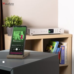 Radio internetowe Adria WiFi DAB+ BT srebrny one size 13