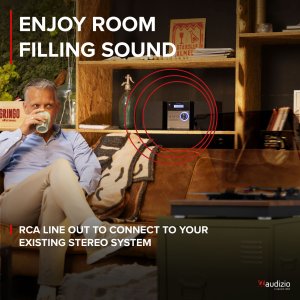 Gramofon Audizio RP112L z wejściem/wyjściem BT, jasne drewno one size 19