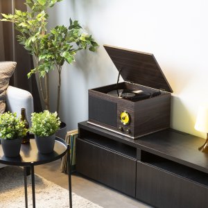 Gramofon Fenton Gramofon RP173 Vintage USB BT FM brązowy+ winyl one size 16