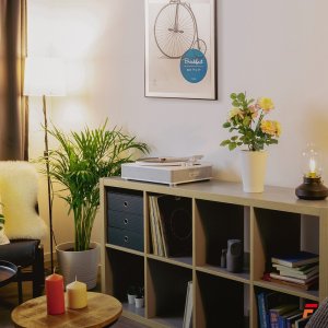 Gramofon Fenton Gramofon RP162W HQ BT biały one size 18