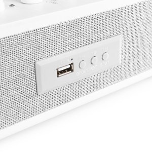 Gramofon Fenton Gramofon RP162W HQ BT biały one size 8