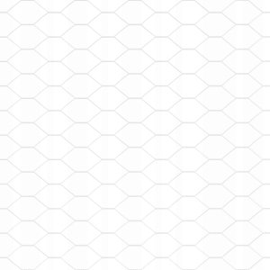 Ogrodzenie heksagonalne 1,2x10 m ze stali galwanizowanej 10