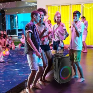 Głośnik bluetooth Fenton 300W FT8LED-MK2 mikrofon akumulator one size 12