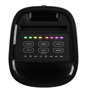 Głośnik Fenton Głośnik imprezowy boombox LED Pulse130 one size 16