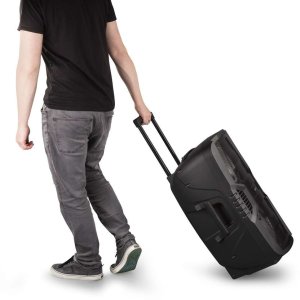 Głośnik Fenton Głośnik mobilny 2x 10" FT210LED, zestaw karaoke z Bluetooth - 700W one size 11