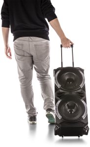 Głośnik Fenton Kolumna mobilna karaoke LIVE280 BT 900W one size 16