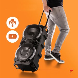 Głośnik Fenton Kolumna mobilna karaoke LIVE280 BT 900W one size 26