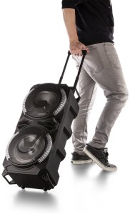 Głośnik Fenton Kolumna mobilna karaoke LIVE280 BT 900W one size 10