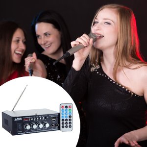 Party Light&Sound Wzmacniacz karaoke 2x 25W PLS1250USB-RC one size 17