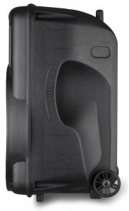 Głośnik Fenton Kolumna mobilna z mikrofonem FT15LED 15" 800W one size 8