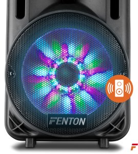 Kolumna mobilna z mikrofonem Fenton FT10LED 10 " 450W bluetooth one size 13