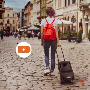 Kolumna mobilna z mikrofonem Fenton FT10LED 10 " 450W bluetooth one size 15